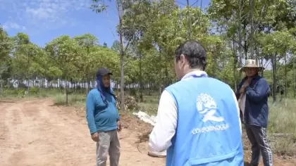 Investigan a finquero que taló centenares de árboles para construir un paso para turistas en Casanare.